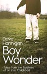 Boy Wonder - Dave Hannigan - 9780717178926