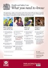 Health and safety law: what you need to know (A2 poster) (standard) -  - 9780717663149