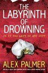 The Labyrinth of Drowning - Alex Palmer - 9780730400233