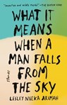 WHAT IT MEANS WHEN A MAN FALLS - Lesley Nneka Arimah - 9780735211032