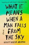 What It Means When a Man Falls from the Sky - Lesley Nneka Arimah - 9780735211049