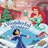 A Wonderful Winter! (Disney Princess) - Nicole Johnson - 9780736445733