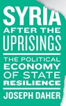 Syria after the Uprisings - Joseph Daher - 9780745339399