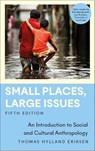 Small Places, Large Issues - Thomas Hylland Eriksen - 9780745348193