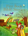 The Lion First Book of Bible Stories - Lois Rock - 9780745962078