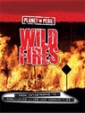 Planet in Peril: Wild Fires - Cath Senker - 9780750289122