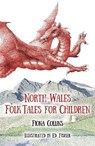 North Wales Folk Tales for Children - Fiona Collins - 9780750964272