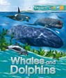 Explorers: Whales and Dolphins - Anita Ganeri - 9780753441169