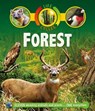 LIFE CYCLES FOREST - SEAN CALLERY - 9780753474235