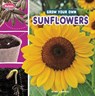 Grow Your Own Sunflowers - Lisa J. Amstutz - 9780756589653