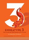Enneatype 3: The Achiever, Performer, Motivator - Liz Carver ; Josh Green - 9780760377871