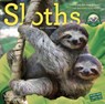 Sloths Wall Calendar -  - 9780761188001