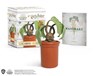 Harry Potter Screaming Mandrake: With Sound! - LEMKE,  Donald - 9780762474776