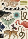 Animalium: Welcome to the Museum - Jenny Broom - 9780763675080