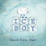 Ice Boy - David Ezra Stein - 9780763682033