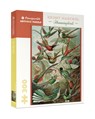 Ernst Haeckel Hummingbirds 300 Piece Jigsaw Puzzle -  - 9780764978685