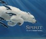Spirit the Art of Robert Bissell - Robert Bissell - 9780764984310
