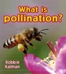 What is pollination? - Bobbie Kalman - 9780778733065