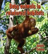 Baby Animals in Rainforest Habitats - Bobbie Kalman - 9780778777458