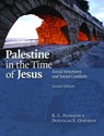 Palestine in the Time of Jesus - K. C. Hanson ; Douglas E. Oakman - 9780800663094