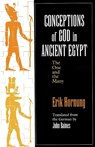 Conceptions of God in Ancient Egypt - Erik Hornung - 9780801483844