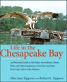 Life in the Chesapeake Bay - Alice Jane Lippson ; Robert L. Lippson - 9780801883385