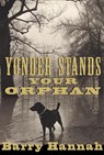 Yonder Stands Your Orphan - Barry Hannah - 9780802138934