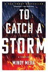 To Catch a Storm - Mindy Mejia - 9780802162007