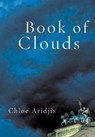 Book of Clouds - Chloe Aridjis - 9780802170569