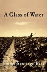 A Glass of Water - Jimmy Santiago Baca - 9780802198921