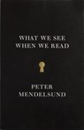 What We See When We Read - Peter Mendelsund - 9780804171649