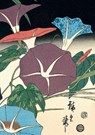 Journal morning glories & cricket, hiroshige lined paperback -  - 9780804859127
