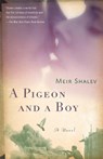 A Pigeon and a Boy - Meir Shalev - 9780805212143