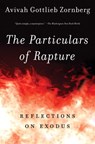 The Particulars of Rapture - Avivah Gottlieb Zornberg - 9780805212440