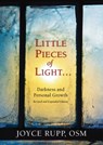 Little Pieces of Light - Joyce Rupp - 9780809149834