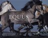 Equus - FLACH,  Tim - 9780810971424