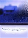 Where Clouds are Formed - Ofelia Zepeda - 9780816527793