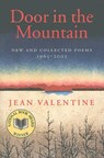 Door in the Mountain - Jean Valentine - 9780819567130