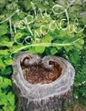 Trophic Cascade - Camille T. Dungy - 9780819577207