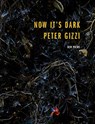 Now It's Dark - Peter Gizzi - 9780819579867