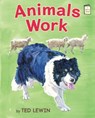 Animals Work - Ted Lewin - 9780823432226