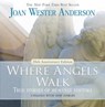 Where Angels Walk: True Stories of Heavenly Visitors - Joan Wester Anderson - 9780829444704