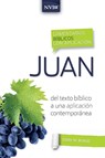 Comentario Biblico Con Aplicacion NVI Juan - Gary M Burge - 9780829771398