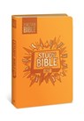 The Action Bible Study Bible Esv, Leathersoft, Orange, Full Color - David C Cook - 9780830787456