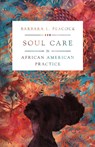 Soul Care in African American Practice - Barbara L. Peacock - 9780830846719