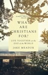 What Are Christians For? - Jake Meador - 9780830847372