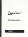 Conceptual Framework Analyzing - B. Cordes - 9780833022868