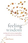 Feeling Wisdom - Rob Preece - 9780834829930