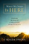 What We Need Is Here - L. Roger Owens - 9780835815116
