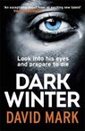 Dark Winter - MARK,  David - 9780857389213